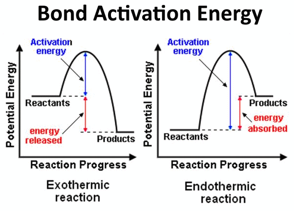 Bond Activation Energy